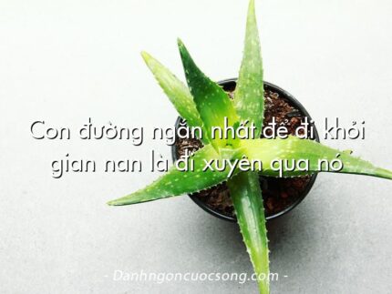 Con đường ngắn nhất để đi khỏi gian nan là đi xuyên qua nó