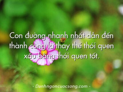 Con đường nhanh nhất dẫn đến thành công là thay thế thói quen xấu bằng thói quen tốt.