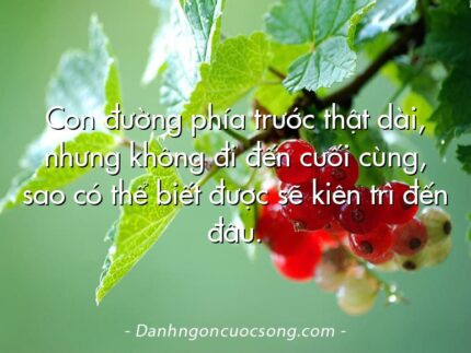 Con đường phía trước thật dài, nhưng không đi đến cuối cùng, sao có thể biết được sẽ kiên trì đến đâu.