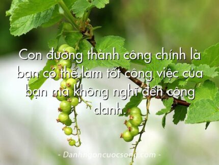 Con đường thành công chính là bạn có thể làm tốt công việc của bạn mà không nghĩ đến công danh.