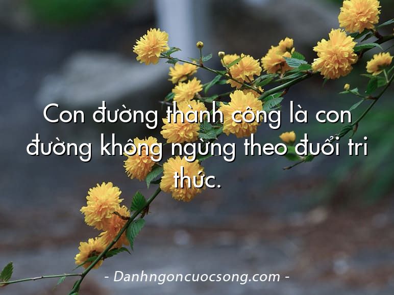 Con đường thành công là con đường không ngừng theo đuổi tri thức.