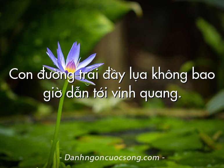 Con đường trải đầy lụa không bao giờ dẫn tới vinh quang.