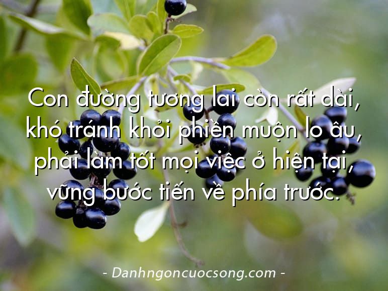 Con đường tương lai còn rất dài, khó tránh khỏi phiền muộn lo âu, phải làm tốt mọi việc ở hiện tại, vững bước tiến về phía trước.