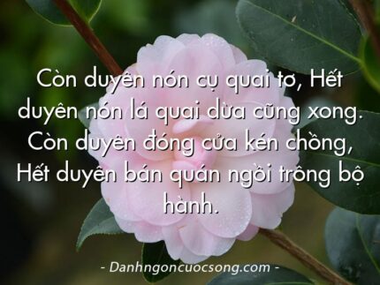 Còn duyên nón cụ quai tơ, Hết duyên nón lá quai dừa cũng xong. Còn duyên đóng cửa kén chồng, Hết duyên bán quán ngồi trông bộ hành.