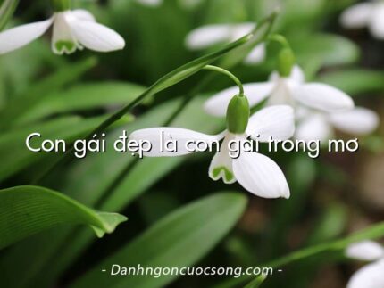 Con gái đẹp là con gái trong mơ