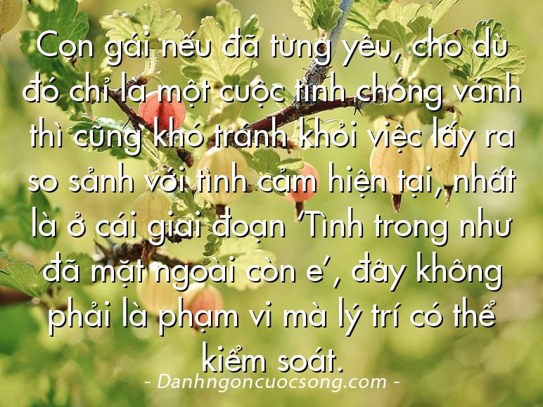 Con gái nếu đã từng yêu, cho dù đó chỉ là một cuộc tình chóng vánh thì cũng khó tránh khỏi việc lấy ra so sảnh với tình cảm hiện tại, nhất là ở cái giai đoạn ‘Tình trong như đã mặt ngoài còn e’, đây không phải là phạm vi mà lý trí có thể kiểm soát.