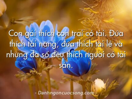 Con gái thích con trai có tài. Đứa thích tài năng, đứa thích tài lẻ và nhưng đa số đều thích người có tài sản.