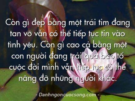 Còn gì đẹp bằng một trái tim đang tan vỡ vẫn có thể tiếp tục tin vào tình yêu. Còn gì cao cả bằng một con người đang trải qua bão tố cuộc đời mình vẫn tiếp tục có thể nâng đỡ những người khác.