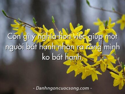 Còn gì ý nghĩa hơn việc giúp một người bất hạnh nhận ra rằng mình ko bất hạnh.