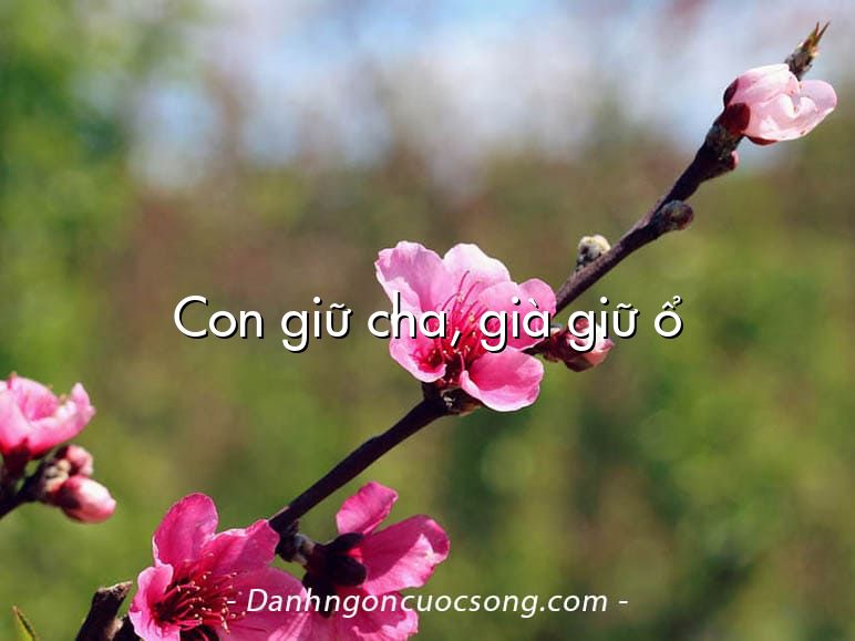 Con giữ cha, già giữ ổ