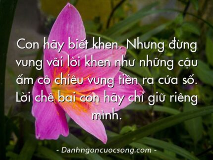 Con hãy biết khen. Nhưng đừng vung vãi lời khen như những cậu ấm cô chiêu vung tiền ra cửa sổ. Lời chê bai con hãy chỉ giữ riêng mình.