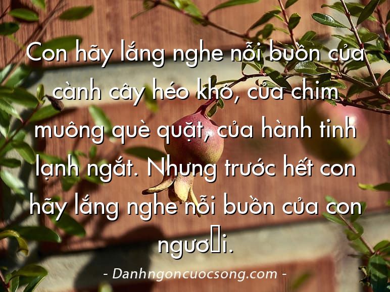 Con hãy lắng nghe nỗi buồn của cành cây héo khô, của chim muông què quặt, của hành tinh lạnh ngắt. Nhưng trước hết con hãy lắng nghe nỗi buồn của con người.