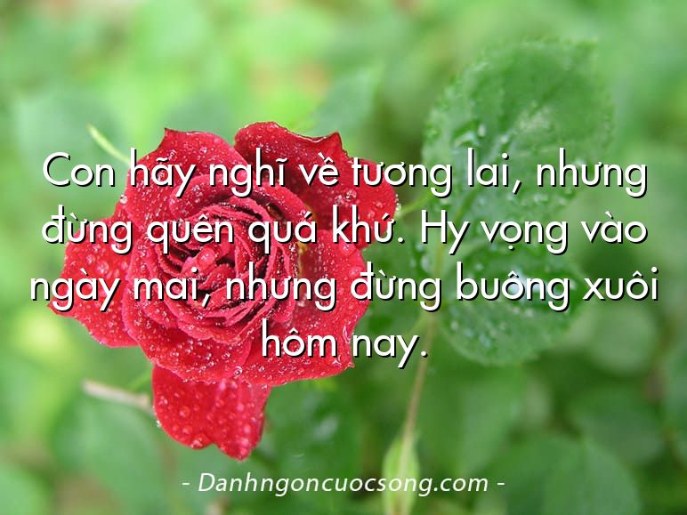 Con hãy nghĩ về tương lai, nhưng đừng quên quá khứ. Hy vọng vào ngày mai, nhưng đừng buông xuôi hôm nay.
