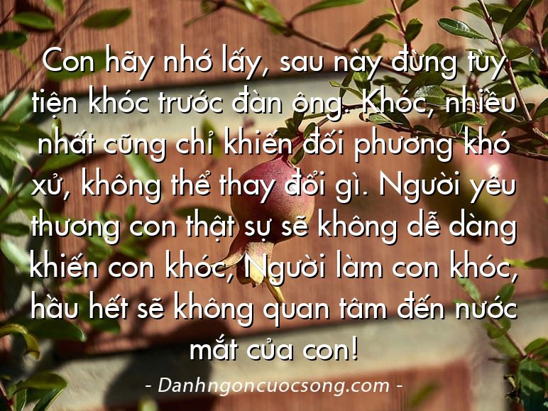 Con hãy nhớ lấy, sau này đừng tùy tiện khóc trước đàn ông. Khóc, nhiều nhất cũng chỉ khiến đối phương khó xử, không thể thay đổi gì. Người yêu thương con thật sự sẽ không dễ dàng khiến con khóc, Người làm con khóc, hầu hết sẽ không quan tâm đến nước mắt của con!