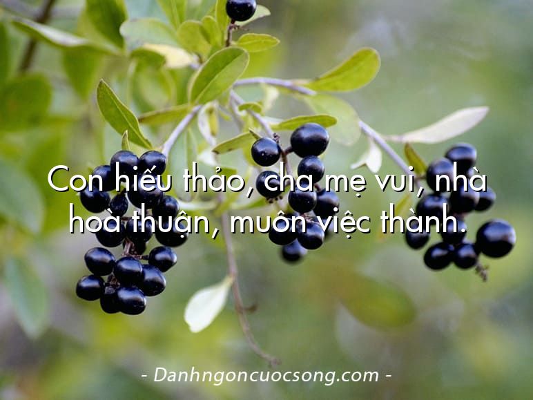 Con hiếu thảo, cha mẹ vui, nhà hoà thuận, muôn việc thành.