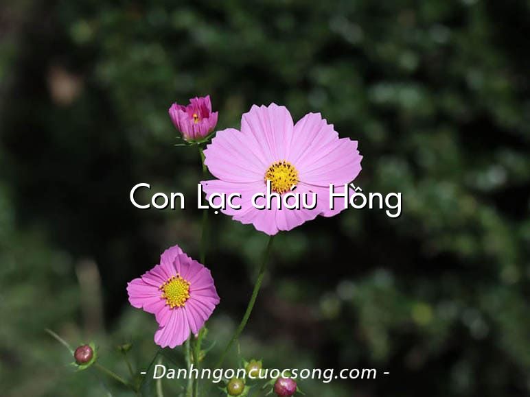 Con Lạc cháu Hồng