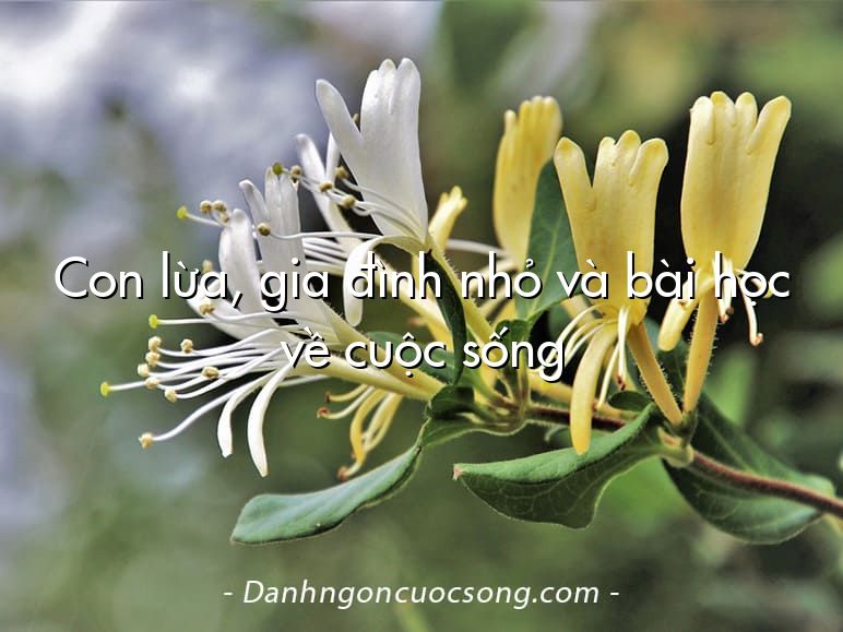 Con lừa, gia đình nhỏ và bài học về cuộc sống