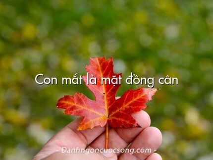 Con mắt là mặt đồng cân