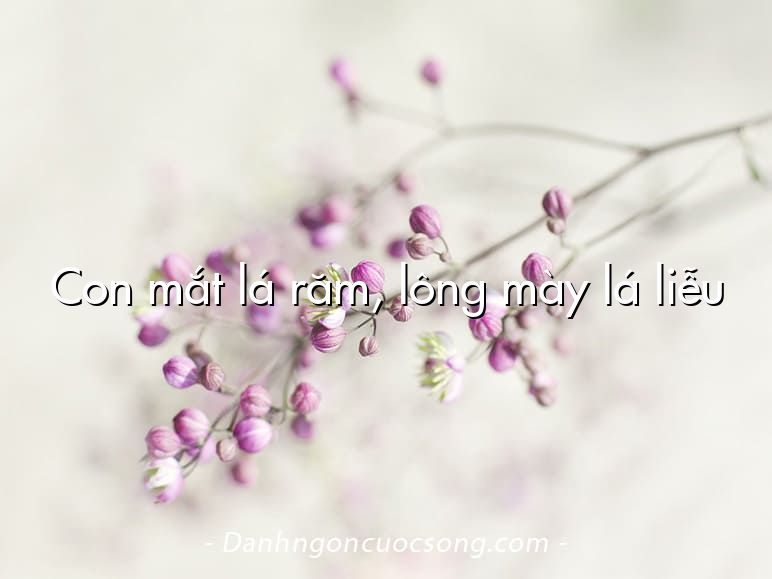 Con mắt lá răm, lông mày lá liễu