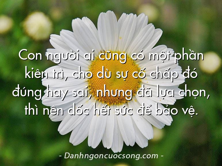 Con người ai cũng có một phần kiên trì, cho dù sự cố chấp đó đúng hay sai, nhưng đã lựa chọn, thì nên dốc hết sức để bảo vệ.