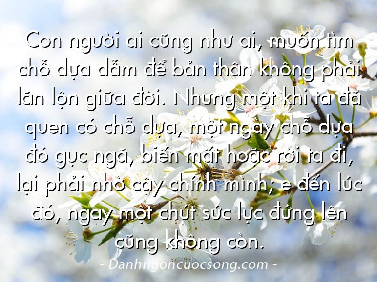 Con người ai cũng như ai, muốn tìm chỗ dựa dẫm để bản thân không phải lăn lộn giữa đời. Nhưng một khi ta đã quen có chỗ dựa, một ngày chỗ dựa đó gục ngã, biến mất hoặc rời ta đi, lại phải nhờ cậy chính mình; e đến lúc đó, ngay một chút sức lực đứng lên cũng không còn.