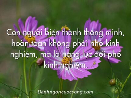 Con người biến thành thông minh, hoàn toàn không phải nhờ kinh nghiệm, mà là năng lực đối phó kinh nghiệm.