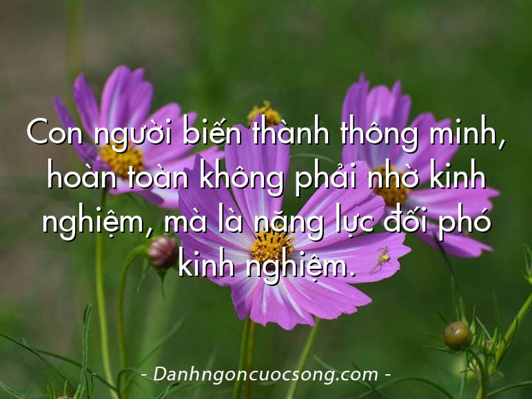Con người biến thành thông minh, hoàn toàn không phải nhờ kinh nghiệm, mà là năng lực đối phó kinh nghiệm.