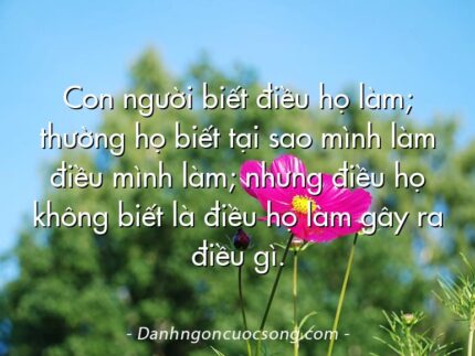 Con người biết điều họ làm; thường họ biết tại sao mình làm điều mình làm; nhưng điều họ không biết là điều họ làm gây ra điều gì.