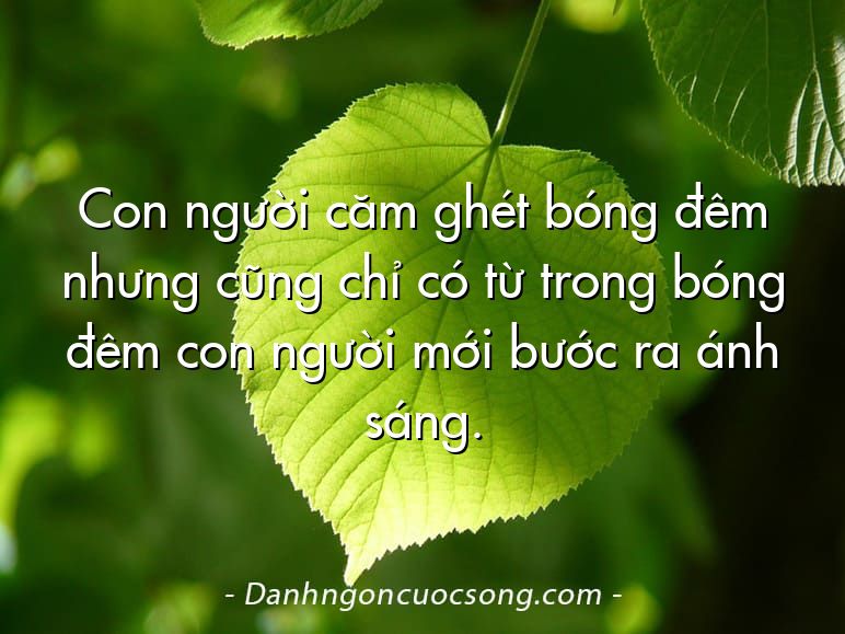 Con người căm ghét bóng đêm nhưng cũng chỉ có từ trong bóng đêm con người mới bước ra ánh sáng.