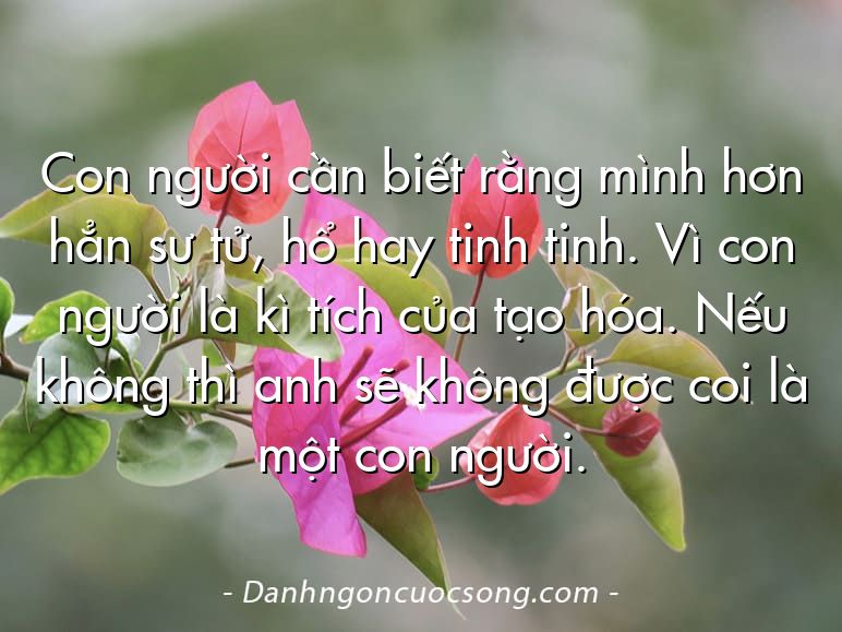 Con người cần biết rằng mình hơn hẳn sư tử, hổ hay tinh tinh. Vì con người là kì tích của tạo hóa. Nếu không thì anh sẽ không được coi là một con người.