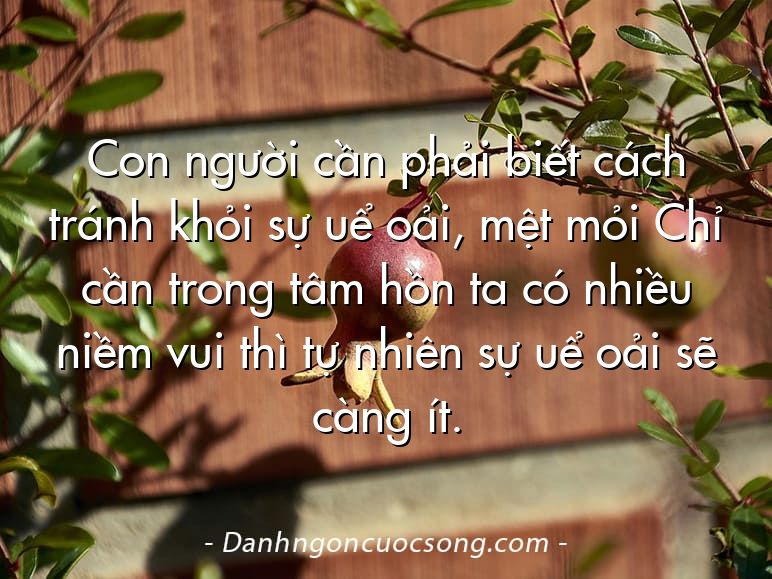 Con người cần phải biết cách tránh khỏi sự uể oải, mệt mỏi Chỉ cần trong tâm hồn ta có nhiều niềm vui thì tự nhiên sự uể oải sẽ càng ít.