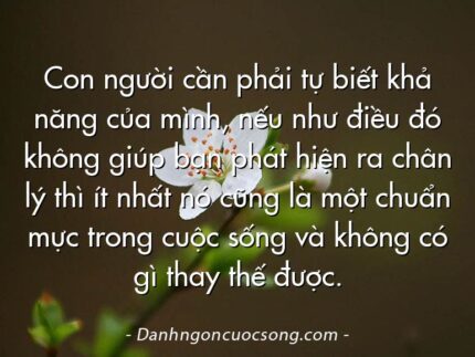 Con người cần phải tự biết khả năng của mình, nếu như điều đó không giúp bạn phát hiện ra chân lý thì ít nhất nó cũng là một chuẩn mực trong cuộc sống và không có gì thay thế được.