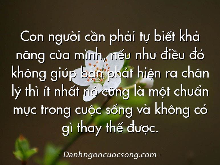 Con người cần phải tự biết khả năng của mình, nếu như điều đó không giúp bạn phát hiện ra chân lý thì ít nhất nó cũng là một chuẩn mực trong cuộc sống và không có gì thay thế được.