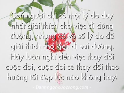 Con người chỉ có một lý do duy nhất giải thích cho việc đi đúng đường, nhưng có vô số lý do để giải thích cho việc đi sai đường. Hãy luôn nghĩ đến việc thay đổi cuộc đời, cuộc đời sẽ thay đổi theo hướng tốt đẹp lúc nào không hay!