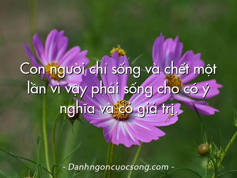 Con người chỉ sống và chết một lần vì vậy phải sống cho có ý nghĩa và có giá trị.