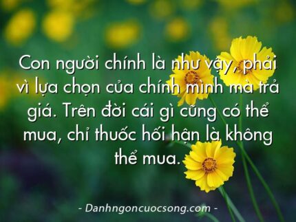 Con người chính là như vậy, phải vì lựa chọn của chính mình mà trả giá. Trên đời cái gì cũng có thể mua, chỉ thuốc hối hận là không thể mua.