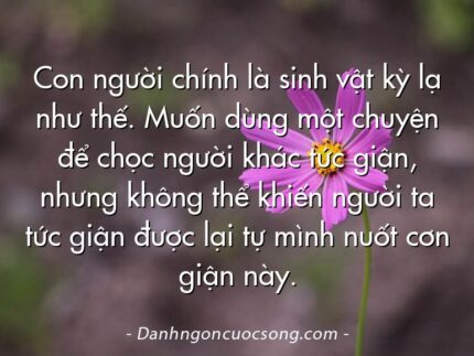 Con người chính là sinh vật kỳ lạ như thế. Muốn dùng một chuyện để chọc người khác tức giận, nhưng không thể khiến người ta tức giận được lại tự mình nuốt cơn giận này.