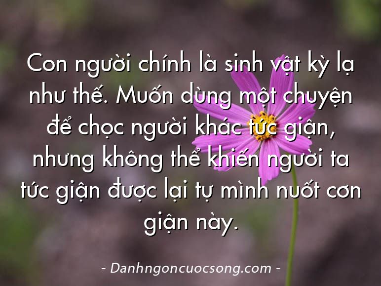 Con người chính là sinh vật kỳ lạ như thế. Muốn dùng một chuyện để chọc người khác tức giận, nhưng không thể khiến người ta tức giận được lại tự mình nuốt cơn giận này.