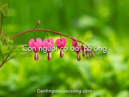 Con người có bố, có ông