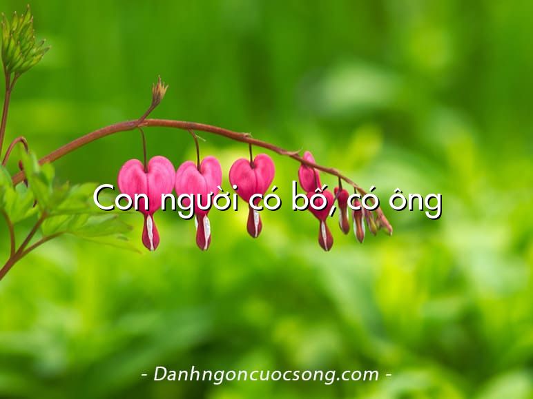 Con người có bố, có ông