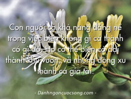 Con người có khả năng đáng nể trong việc biến không gì cả thành có gì đó. Họ có thể biến cỏ dại thành khu vườn, và những đồng xu thành cả gia tài.