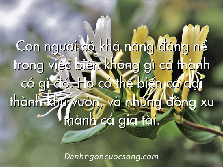 Con người có khả năng đáng nể trong việc biến không gì cả thành có gì đó. Họ có thể biến cỏ dại thành khu vườn, và những đồng xu thành cả gia tài.