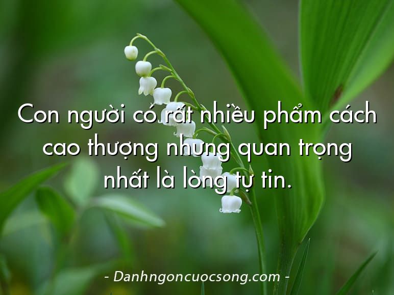 Con người có rất nhiều phẩm cách cao thượng nhưng quan trọng nhất là lòng tự tin.