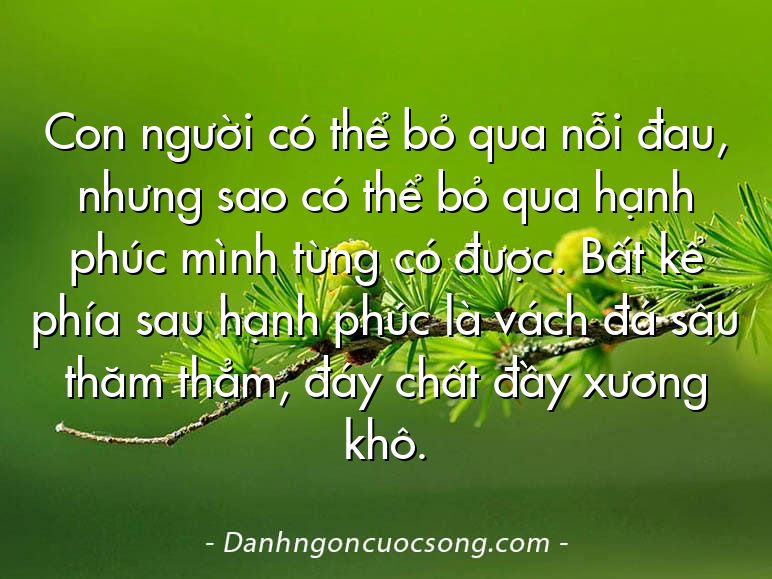 Con người có thể bỏ qua nỗi đau, nhưng sao có thể bỏ qua hạnh phúc mình từng có được. Bất kể phía sau hạnh phúc là vách đá sâu thăm thẳm, đáy chất đầy xương khô.