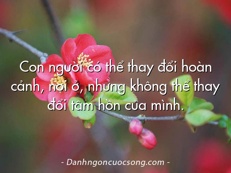 Con người có thể thay đổi hoàn cảnh, nơi ở, nhưng không thể thay đổi tâm hồn của mình.