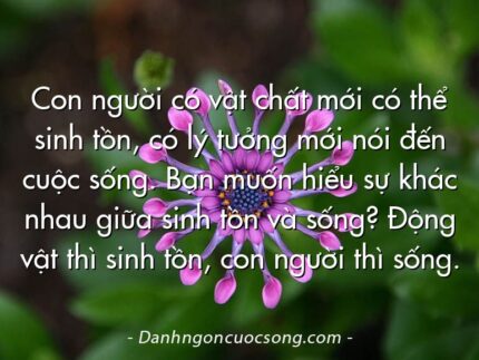 Con người có vật chất mới có thể sinh tồn, có lý tưởng mới nói đến cuộc sống. Bạn muốn hiểu sự khác nhau giữa sinh tồn và sống? Động vật thì sinh tồn, con người thì sống.