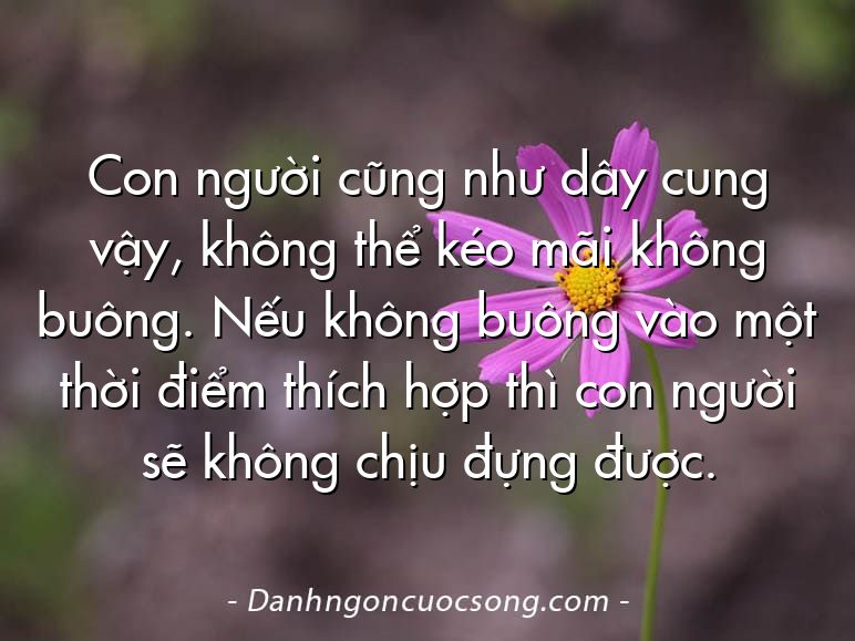 Con người cũng như dây cung vậy, không thể kéo mãi không buông. Nếu không buông vào một thời điểm thích hợp thì con người sẽ không chịu đựng được.