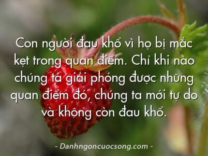 Con người đau khổ vì họ bị mắc kẹt trong quan điểm. Chỉ khi nào chúng ta giải phóng được những quan điểm đó, chúng ta mới tự do và không còn đau khổ.