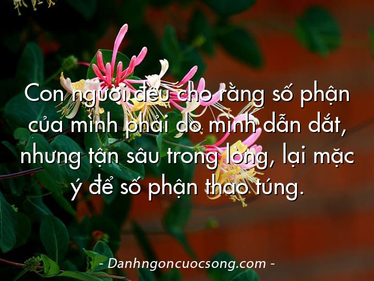 Con người đều cho rằng số phận của mình phải do mình dẫn dắt, nhưng tận sâu trong lòng, lại mặc ý để số phận thao túng.