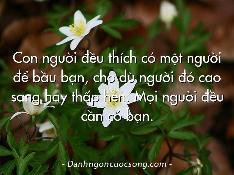 Con người đều thích có một người để bầu bạn, cho dù người đó cao sang hay thấp hèn. Mọi người đều cần có bạn.